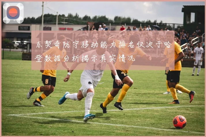 东契奇防守移动能力排名仅次于哈登数据分析揭示真实情况