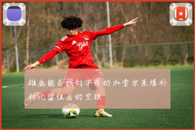 雄鹿能否找到字母的加索尔来填补科比留住后的空缺