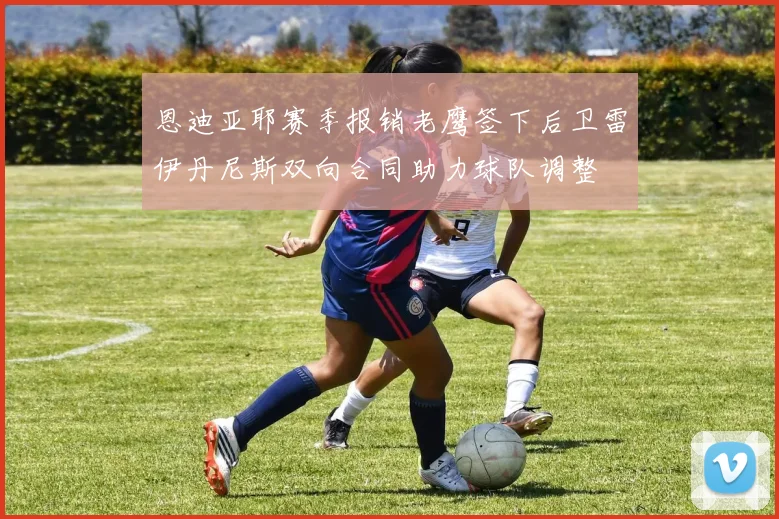 恩迪亚耶赛季报销老鹰签下后卫雷伊丹尼斯双向合同助力球队调整